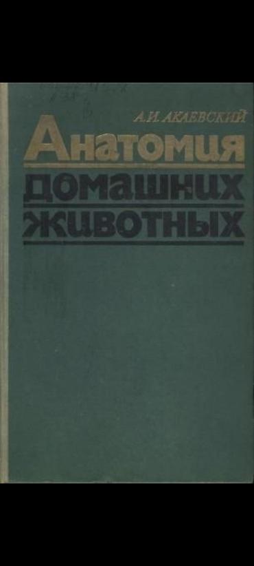 узи аппарат для животных: Книга: «Анатомия домашних животных» Автор: А. И. Акбаевский — 1
