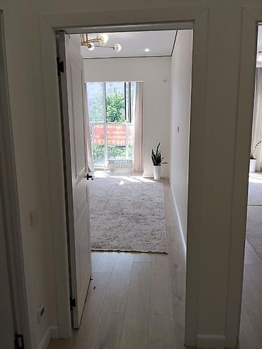 в таласе: 1 комната, 50 м², 6 этаж — 8
