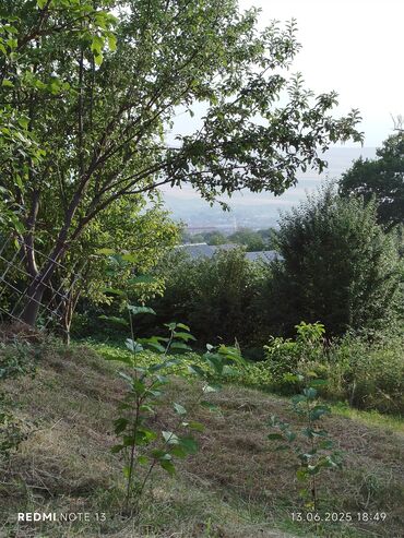 Torpaq sahələrinin satışı: 186 sot, Tikinti, Maklerlər narahat etməsin, Kupça (Çıxarış) — 10