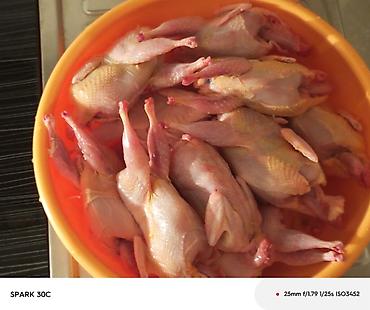 Двуспальные кровати: Кровать двух спальная светлая новая диван новый, холодильник — 11