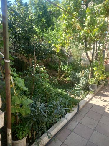 Həyət evləri və villaların satışı: 5 otaqlı, 120 kv. m, Kredit var, Yeni təmirli -da lalafo.az — 2 Həyət evləri və villaların satışı: 5 otaqlı, 120 kv. m, Kredit var, Yeni təmirli — 2