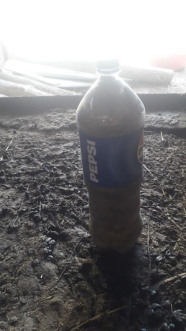 piknik manqal: Yarpaqvar.alan.yazın Təsvir: - Həcm: 2 litr - Material: Şəffaf PET — 1