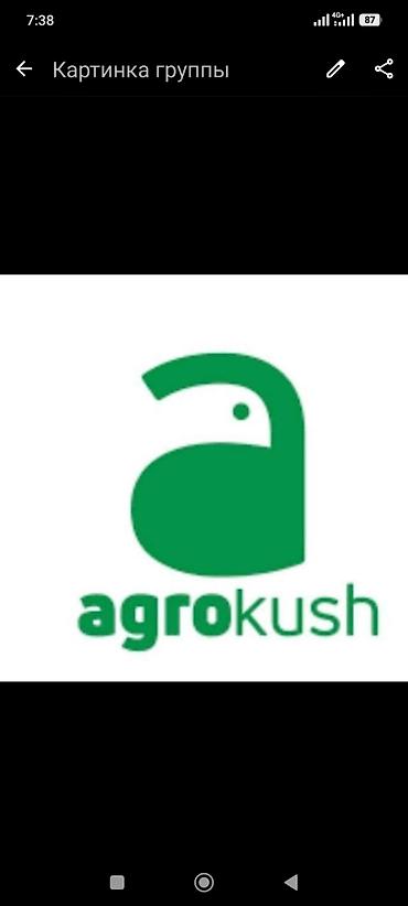 торговые агенты: Требуется торговые представители. Компания Agro Kush приглашает в — 1