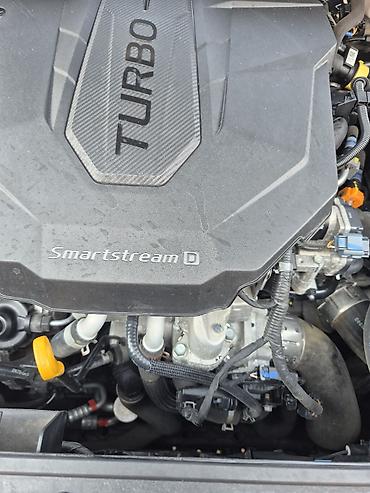lizing avtomobiller: Kia Sorento – ağ mirvari rəngli, müasir dizaynlı 5yer nəfərlik SUV — 6