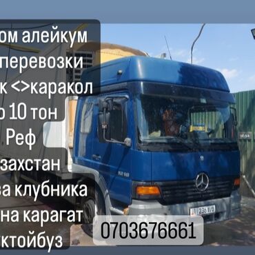 тюльпаны бишкек оптом: Рефрижераторные грузоперевозки до 10 тонн. - Автомобиль