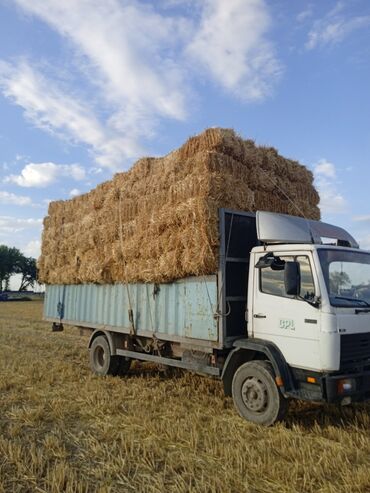 таксопарк бишкек аренда авто: Саман, чөп, арпа, мал,жылкы,уй,кой тартабыз айылдарга, региондорго