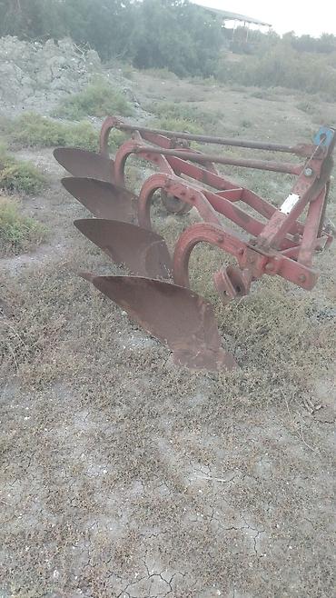 kotanlar traktor: 12 lik unvan səlyan — 3