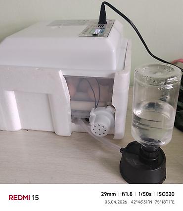 Инкубаторы: Инкубатор для яиц с автоматикой - Модель: Egg Incubator (панель — 1