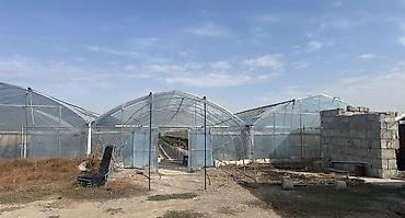 продажа кушетки: Продается теплица 
цена договорная звоните по номеру телефона — 1