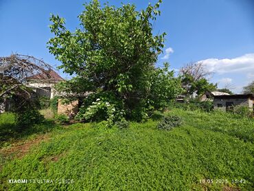 Продажа домов: Дача, 50 м², 3 комнаты, Агентство недвижимости
