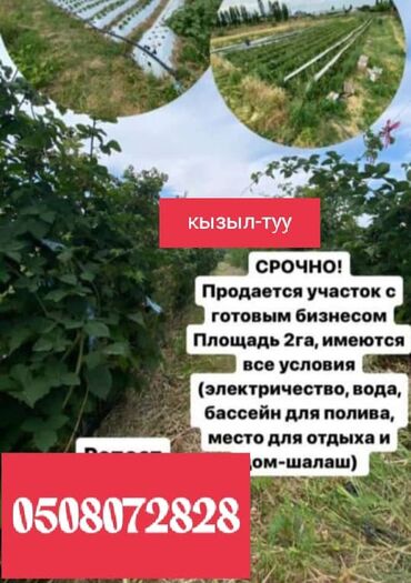 зем участок ош: 2000 соток, Для сельского хозяйства, Договор купли-продажи