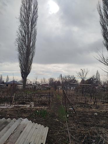 Продажа коттеджей и домов: Продается дом в г. Кара балта 17,5 соток. Мы посадили осенью новый — 18