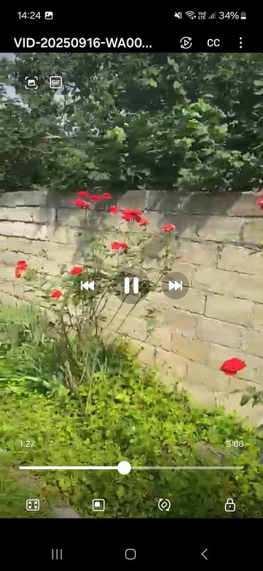 Bağ evlərinin satışı: Bakı, 24 kv. m, 7 otaqlı, Hovuzsuz, Telefon, Qaz, İşıq — 7