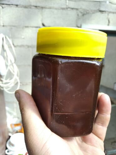 Мёд: Продаю мёд оптом тёмный