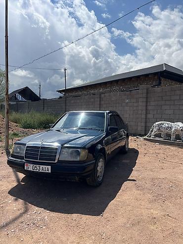 jac 9: Mercedes-Benz W124: 1991 г., Автомат, Бензин, Седан — 10