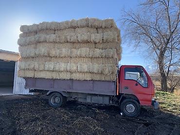 кормовой бункер: Салома с доставкой любой количества — 1