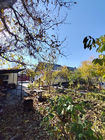 Продажа домов: Дом, 75 м², 3 комнаты, Собственник, Евроремонт — 10