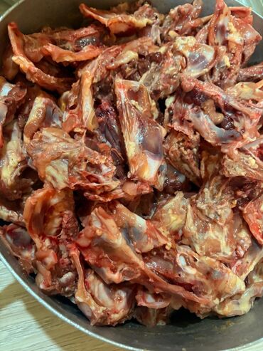 возьму собаку в хорошие руки: It yemləri ucuz qiymətə ancag bizdedi