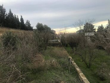 Torpaq sahələrinin satışı: 30 sot, Makler, Kupça (Çıxarış) — 2