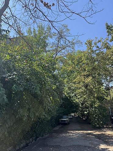скрябина панфилова: 2 комнаты, 44 м², Советская/Скрябина Индивидуалка, 1 этаж, Косметический ремонт — 8
