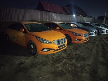 хундай саната 2015: Hyundai Sonata: 2018 г., 2 л, Типтроник, Газ, Седан