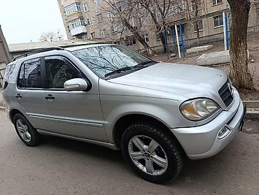 Mercedes-Benz: Mercedes-Benz M-Class: 2003 г., 3.7 л, Кроссовер — 11