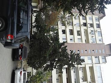 ленинградский проект: Баку, Ахмедлы, 3 комнаты, Вторичка, м. Ахмедлы, 70 м² — 4