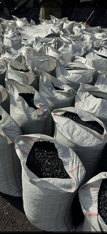 жууку жылуу суу: Уголь хороший
Бакай-ата
Сыргак-14 — 1