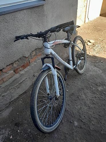 Городские велосипеды: Городской велосипед, Рама XS (130 -155 см), Б/у — 3