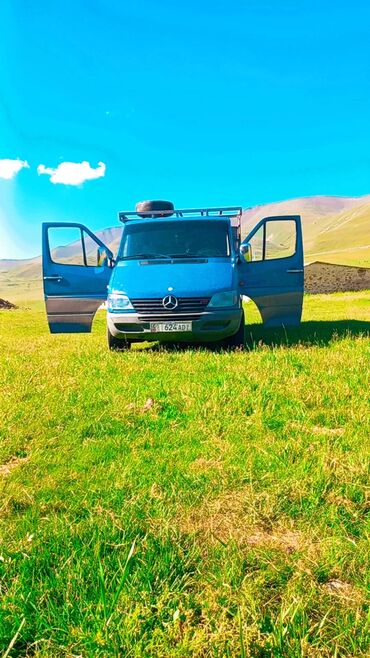 спринтер дубль кабина грузовой: Легкий грузовик, Mercedes-Benz, Стандарт