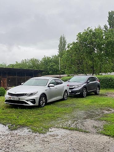 киа селтон: Kia K5: 2019 г., 2 л, Автомат, Газ, Седан — 4