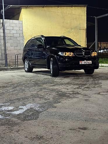 BMW X5: 2006 г., 3 л, Автомат, Дизель, Кроссовер