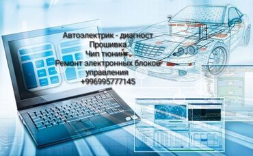 цифровая видеокамера: Прошивка автоэлектрик, чип тюнингремонт электронных блоков