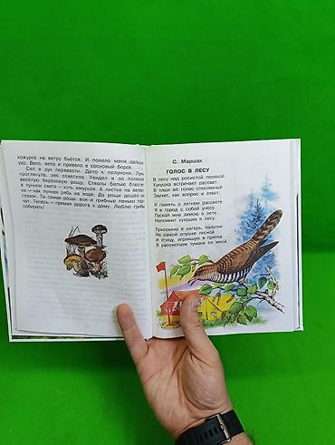 стих: 📚 «Родничок» — книга для внеклассного чтения для учеников 3 класса — 5