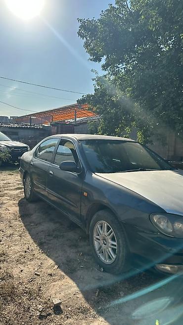 цефир: Nissan Cefiro: 1999 г., 2.5 л, Автомат, Бензин, Седан — 3