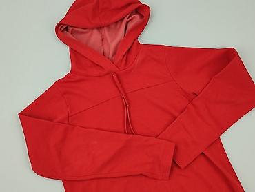 and bear pull: Bluza z kapturem damska, rozmiar S — 1