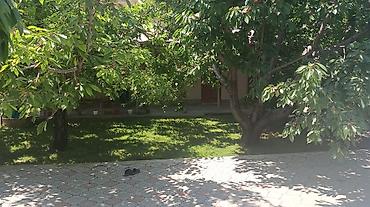 Долгосрочная аренда домов: 165 м², 8 комнат, Утепленный, Теплый пол, Бронированные двери — 14