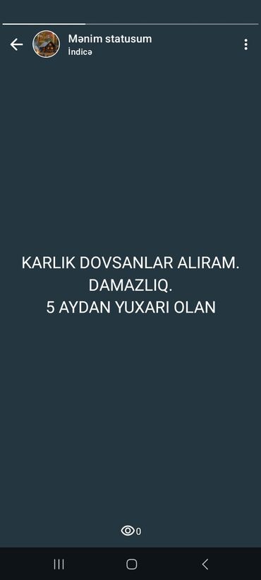 dovşan yuvasi: Satilir.cox alana endirim
