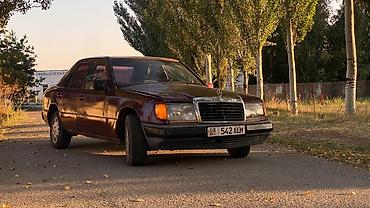 124 мер: Mercedes-Benz W124: 1989 г., 2 л, Механика, Седан — 2