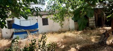 Bağ evlərinin satışı: Bakı, Saray, 100 kv. m, 3 otaqlı, Hovuzlu, İnternet, Qaz, İşıq — 13