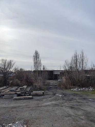 Продажа участков: 100 соток — 7