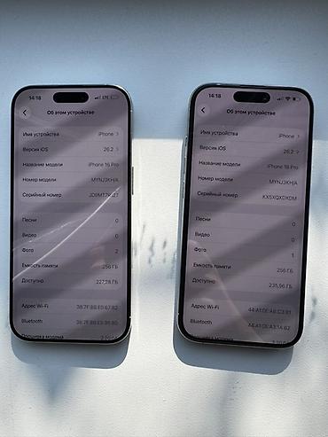 Apple iPhone: IPhone 16 Pro, Б/у, 256 ГБ, Серебристый, Защитное стекло, 100 % — 16