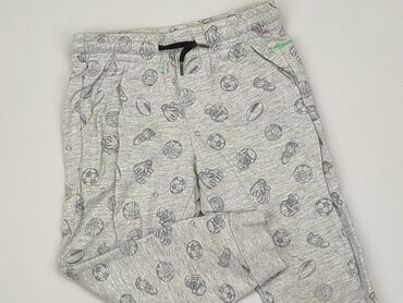 spodnie dresowe dzieciece: Sweatpants, Little kids, 3-4 years, 104, condition - Satisfying