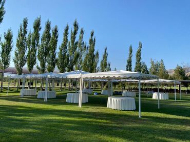 Выездные банкеты: Столы стулья!!! Прокат столов стульев!!! — 15