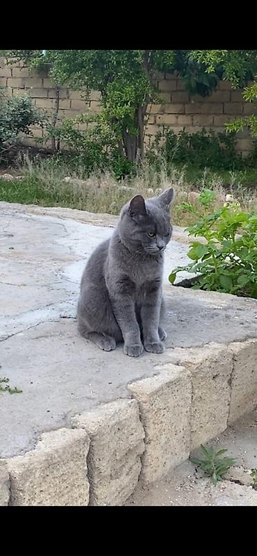Erkək, Yaxşı əllərə, Ünvandan götürmə