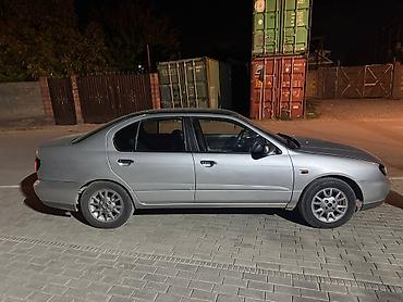 bew e34: Nissan Primera: 2001 г., 1.8 л, Механика, Бензин, Седан — 2