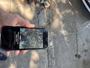 IPhone 11, 64 GB, Qara, Face ID