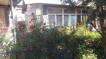 Продажа коттеджей и домов: Продаётся частный дом с благоустроенным двором и садом. Свет 3 — 3