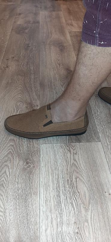 eram обувь: Мужские туфли, 41, Новый — 4