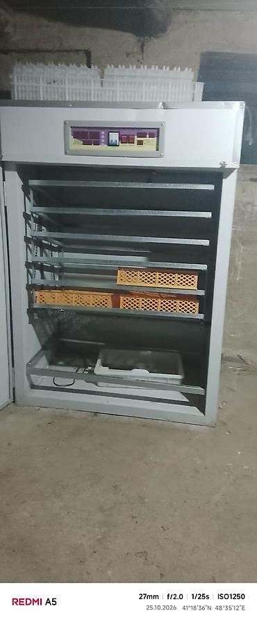 incubator: 300 yumurta, Tam avtomat — 1